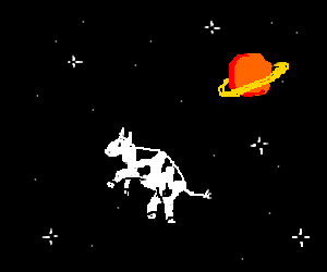 cows in space