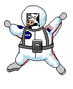 cow in space