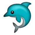 dolphin